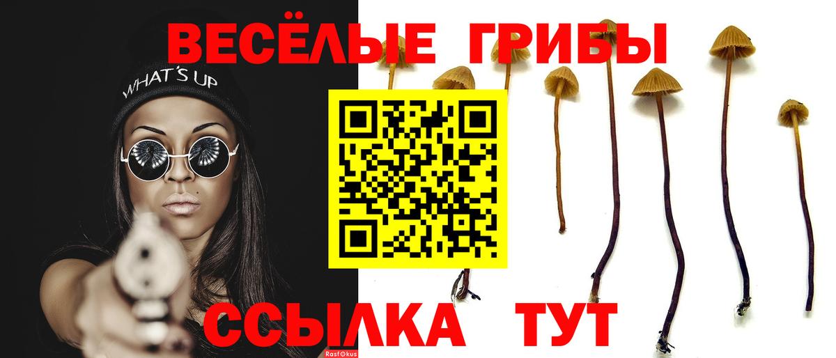 Псилоцибиновые грибы Psilocybe  Вход с VPN  Чита 